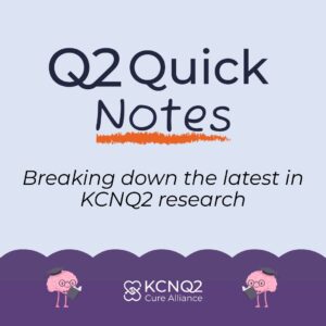 KCNQ2 research updates